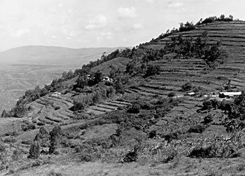 Kima Kimwe Hill - 1991